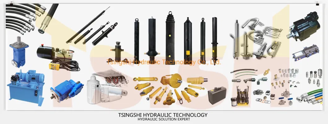 China Supplier Tsish Custom Design Small Piston Micro Bore Mini Rod Short Stroke Double Acting Hydraulic Cylinder for Scissor Lift Table Farm Tractor Loader